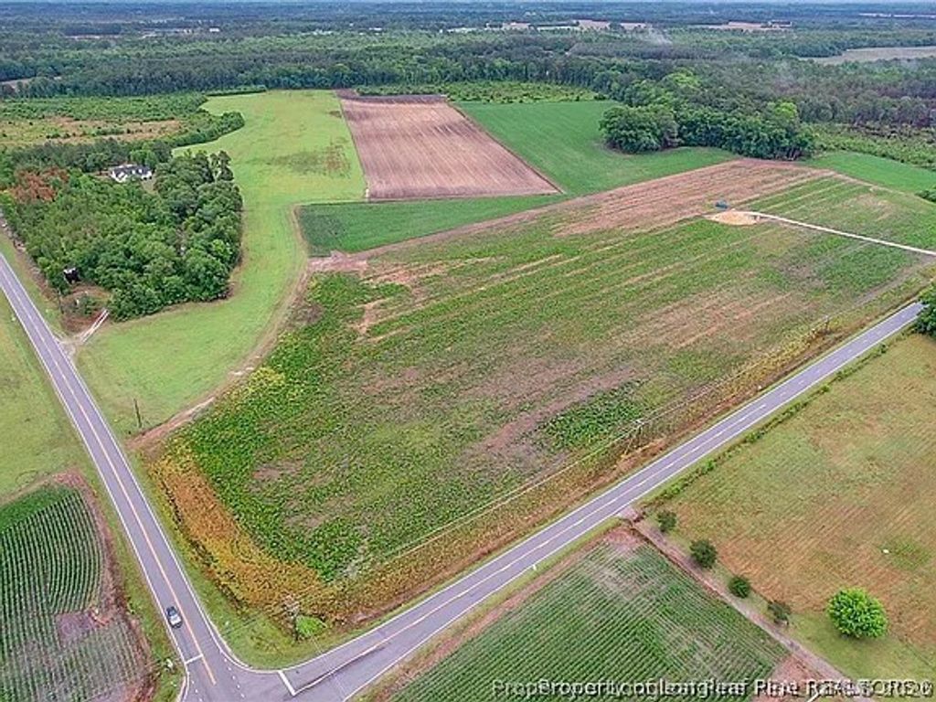 Lot 4 Buie Philadelphus Road, Red Springs, NC 28377 — photo 8