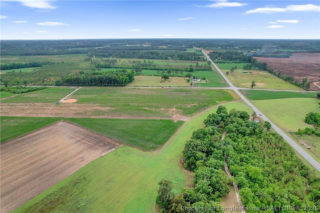 Lot 4 Buie Philadelphus Road, Red Springs, NC 28377 — photo 9