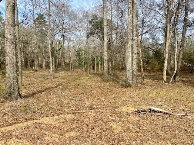 2119 County Line Road, Summit, MS 39666