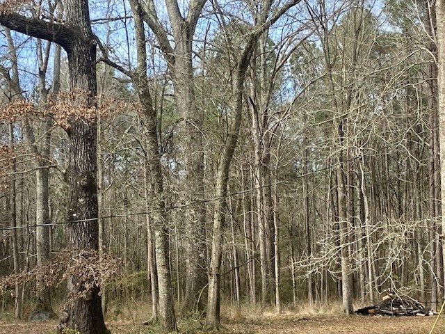 2119 County Line Road, Summit, MS 39666