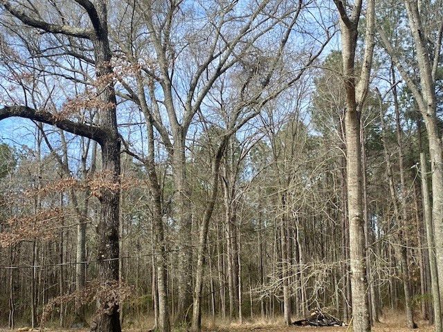 2119 County Line Road, Summit, MS 39666