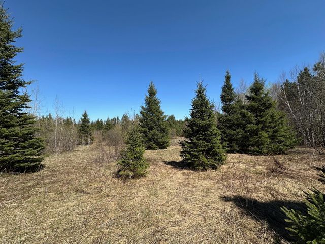 TBD Glenwood Drive, Grand Rapids, MN 55744