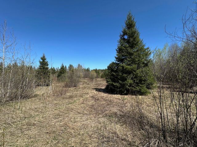 TBD Glenwood Drive, Grand Rapids, MN 55744