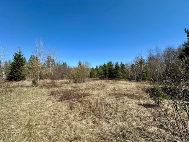 TBD Glenwood Drive, Grand Rapids, MN 55744