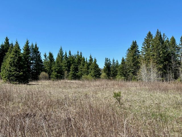 TBD Glenwood Drive, Grand Rapids, MN 55744