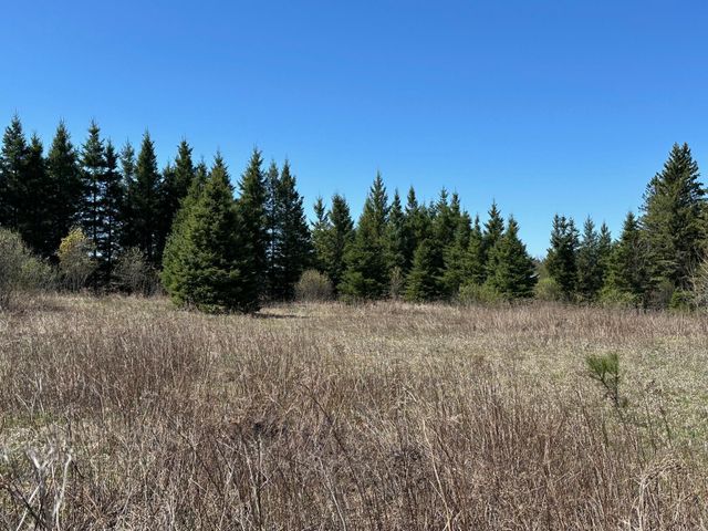 TBD Glenwood Drive, Grand Rapids, MN 55744