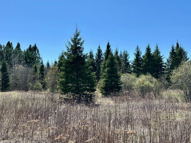 TBD Glenwood Drive, Grand Rapids, MN 55744