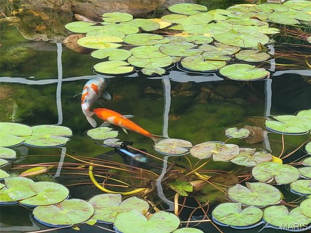 7062 Winona Avenue, St Louis, MO 63109