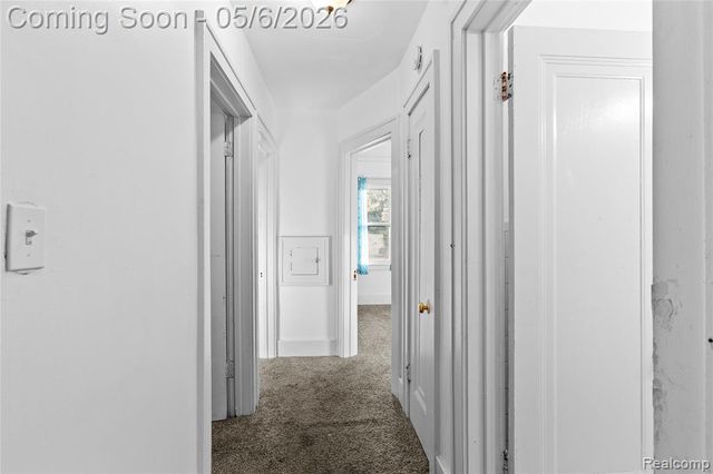 18720 Salem Street, Detroit, MI 48219