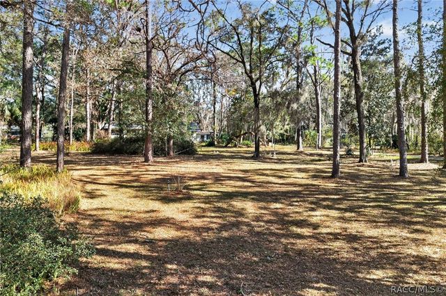 1741 N Crooked Branch Drive, Lecanto, FL 34461