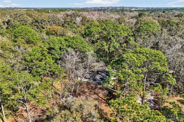 1741 N Crooked Branch Drive, Lecanto, FL 34461