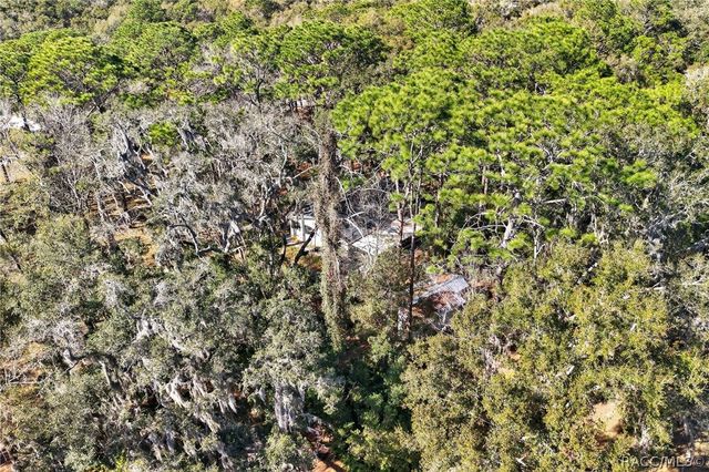 1741 N Crooked Branch Drive, Lecanto, FL 34461