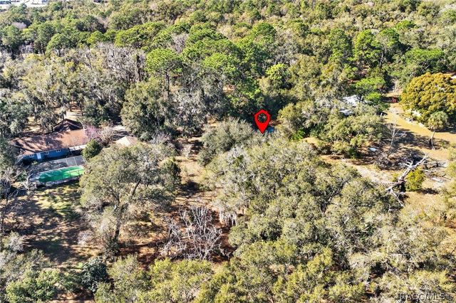 1741 N Crooked Branch Drive, Lecanto, FL 34461