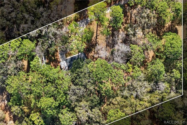 1741 N Crooked Branch Drive, Lecanto, FL 34461