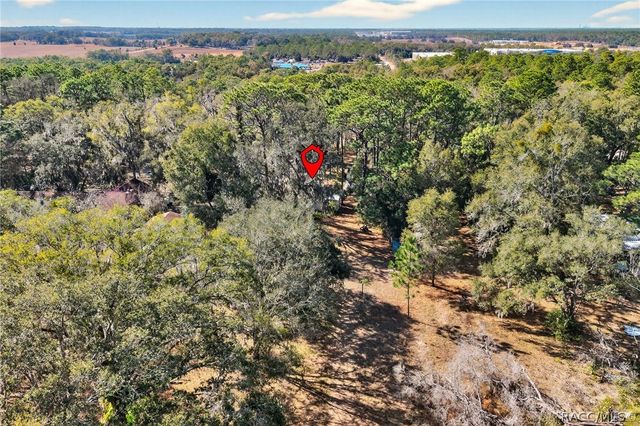 1741 N Crooked Branch Drive, Lecanto, FL 34461