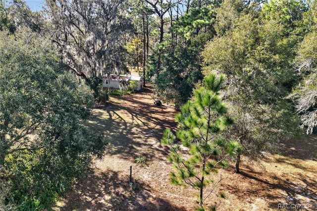 1741 N Crooked Branch Drive, Lecanto, FL 34461