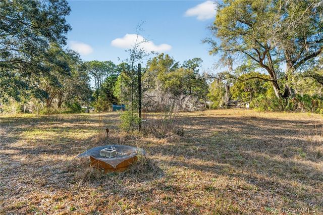 1741 N Crooked Branch Drive, Lecanto, FL 34461