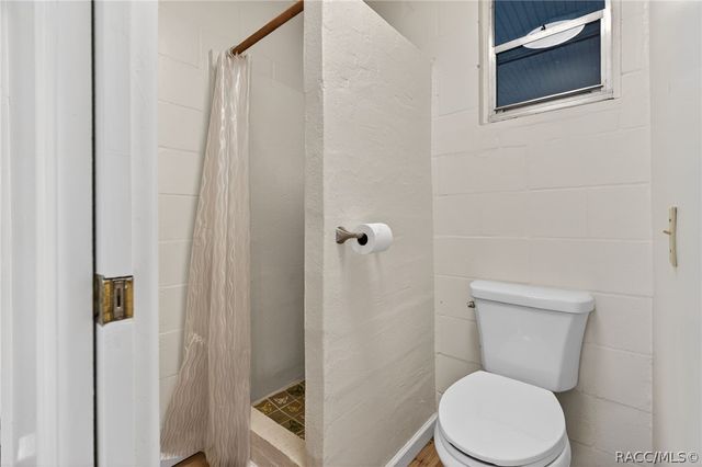 1741 N Crooked Branch Drive, Lecanto, FL 34461