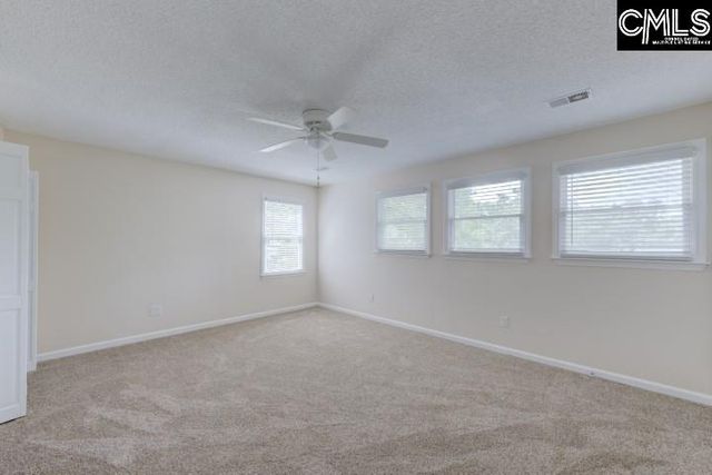 101 Oak Trace Court, Chapin, SC 29036