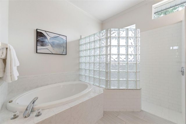 19348 WIND DANCER STREET, Lutz, FL 33558