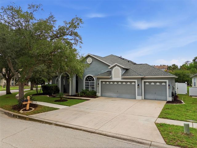 19348 WIND DANCER STREET, Lutz, FL 33558