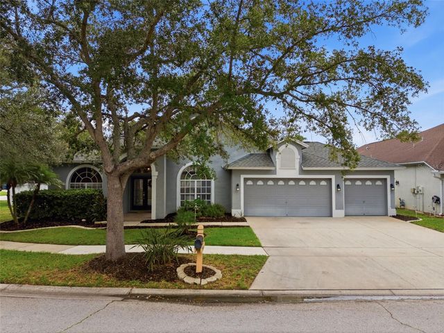 19348 WIND DANCER STREET, Lutz, FL 33558