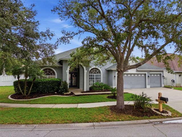 19348 WIND DANCER STREET, Lutz, FL 33558