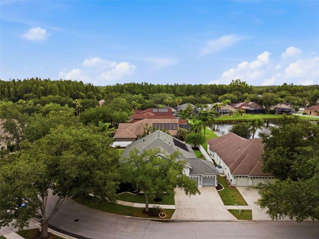 19348 WIND DANCER STREET, Lutz, FL 33558