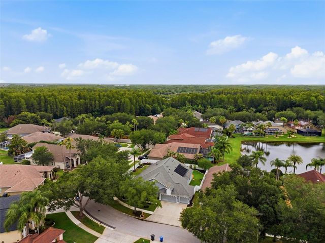 19348 WIND DANCER STREET, Lutz, FL 33558