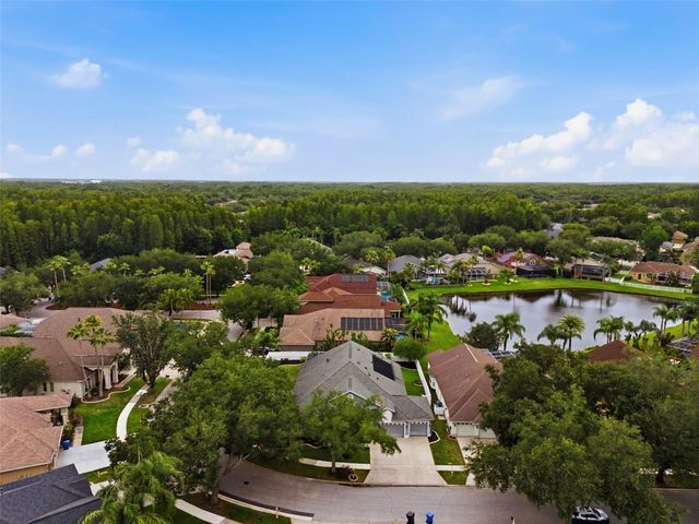 19348 WIND DANCER STREET, Lutz, FL 33558