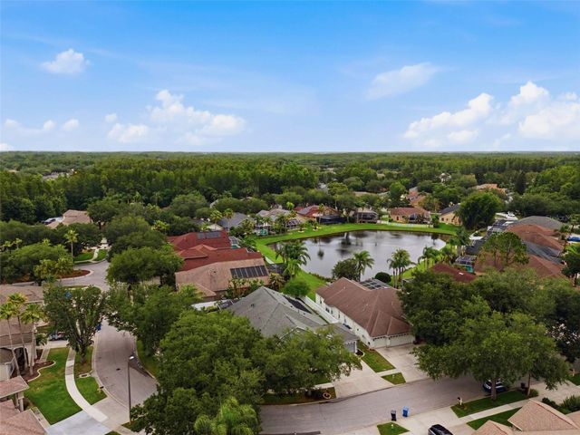 19348 WIND DANCER STREET, Lutz, FL 33558