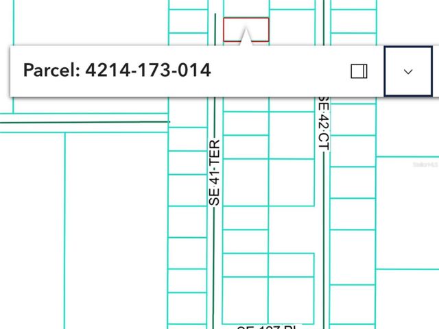 12565 SE 41ST TERRACE, Belleview, FL 34420