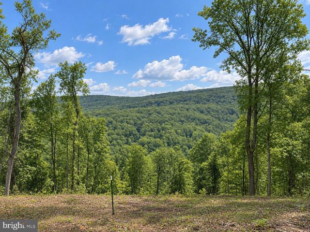 113 LEE DRIVE, Linden, VA 22642