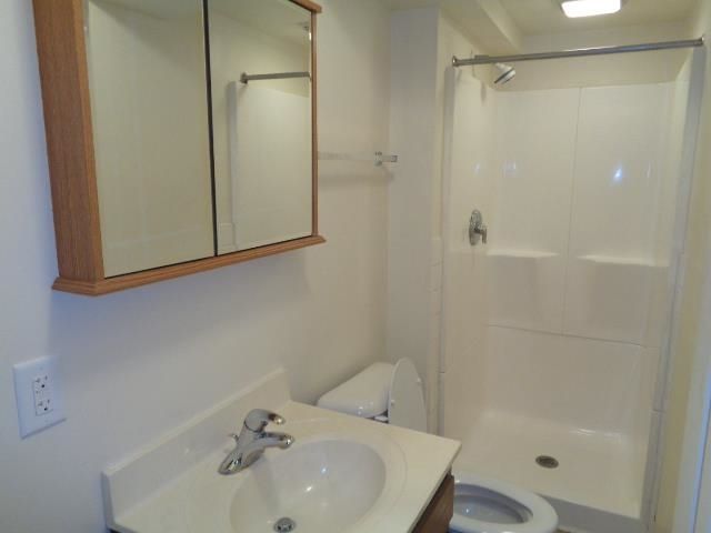 1020 S Lansing, Mount Pleasant, MI 48858