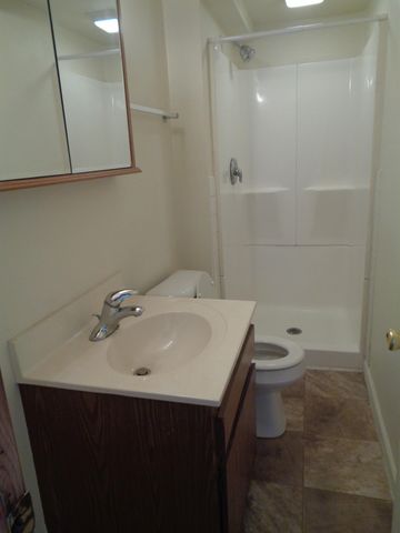 1020 S Lansing, Mount Pleasant, MI 48858