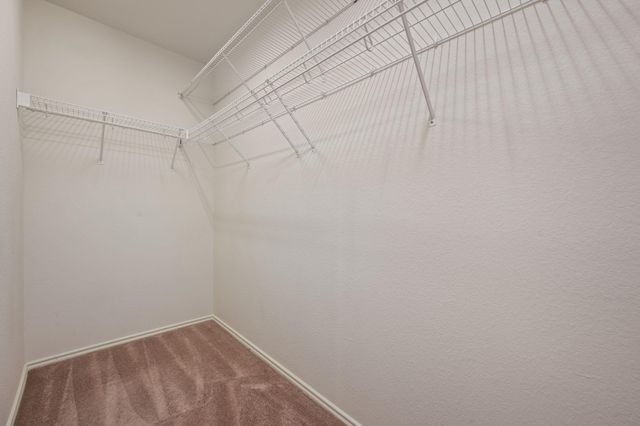 1519 Plume Grass PL, Round Rock, TX 78665