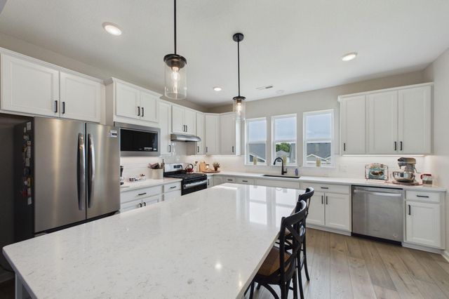 196 Liberty Heights Drive, Chaska, MN 55318
