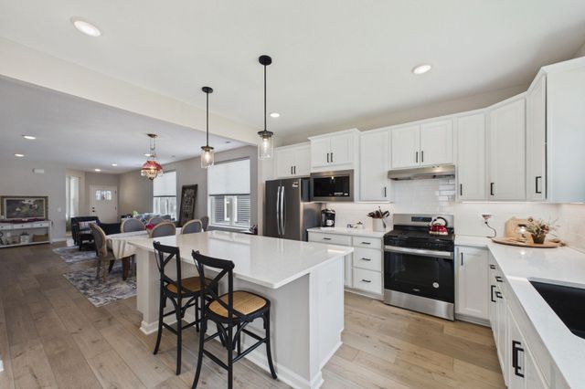 196 Liberty Heights Drive, Chaska, MN 55318