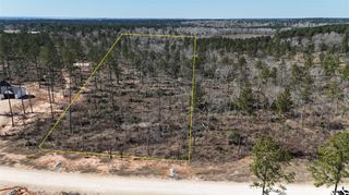 TBD Reveille Road, Livingston, TX 77351