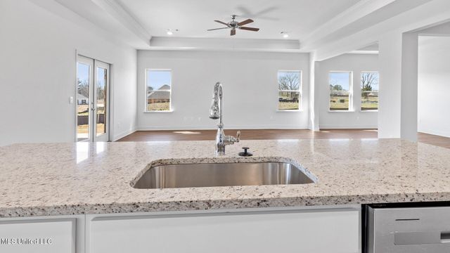 202 Saratoga Springs Avenue, Clinton, MS 39056