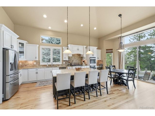 11941 S Longs Bluff Ln, Parker, CO 80134