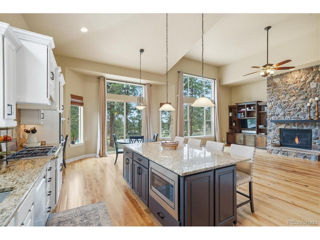 11941 S Longs Bluff Ln, Parker, CO 80134
