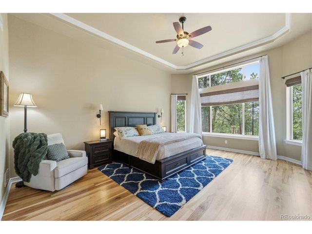 11941 S Longs Bluff Ln, Parker, CO 80134