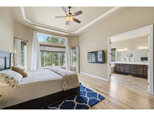 11941 S Longs Bluff Ln, Parker, CO 80134