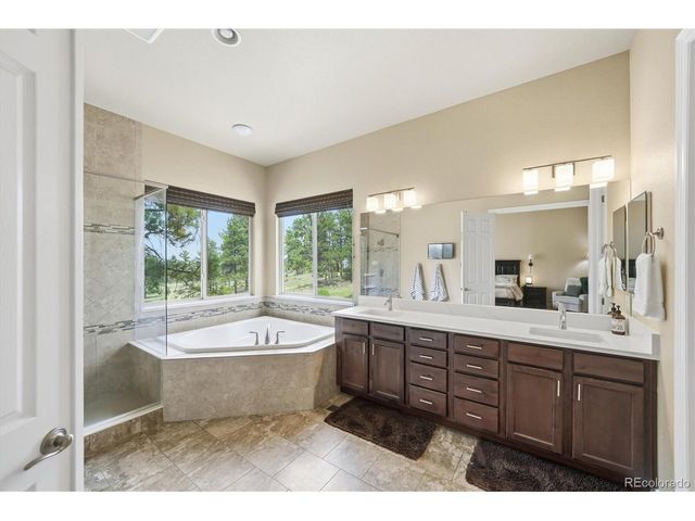 11941 S Longs Bluff Ln, Parker, CO 80134