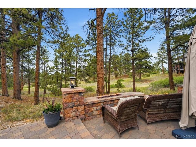 11941 S Longs Bluff Ln, Parker, CO 80134