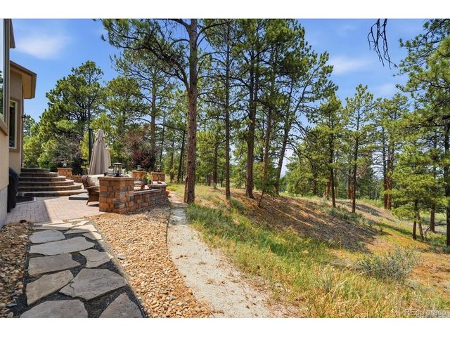 11941 S Longs Bluff Ln, Parker, CO 80134