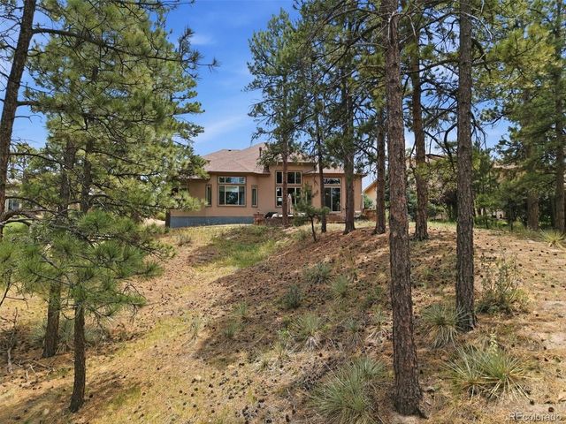 11941 S Longs Bluff Ln, Parker, CO 80134