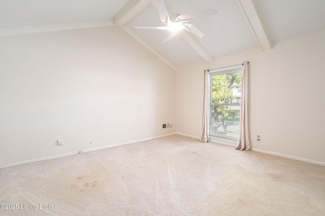 2316 Stannye Dr, Louisville, KY 40222