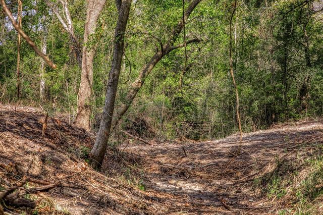 TBD Sun Oil Road, Brenham, TX 77833